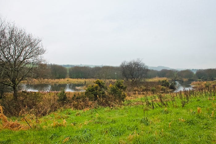 Clogheenmilcon Fen Blarney