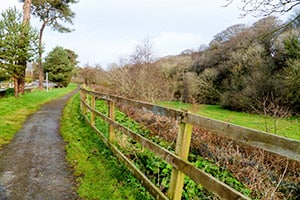 Martin Valley Trail to Waterloo