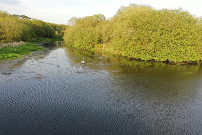 swnas at the Clogheenmilcon Fen