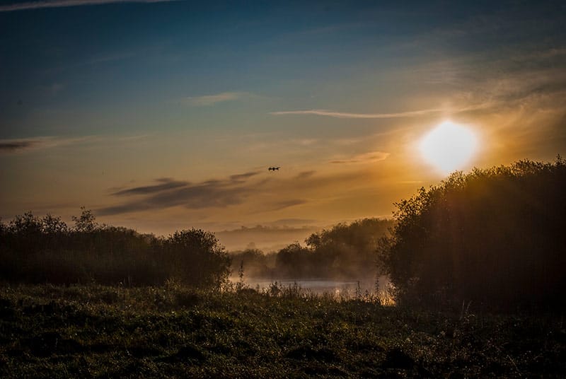 Morning mist on the Fen