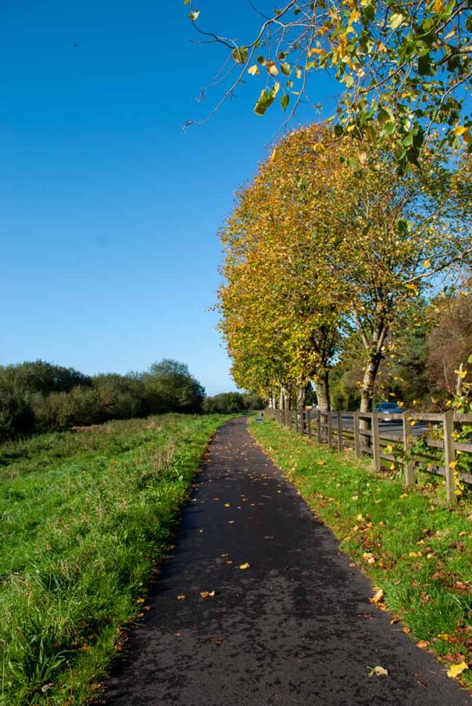 walk in autumn