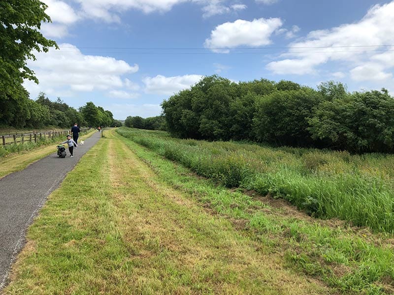 fen walkway