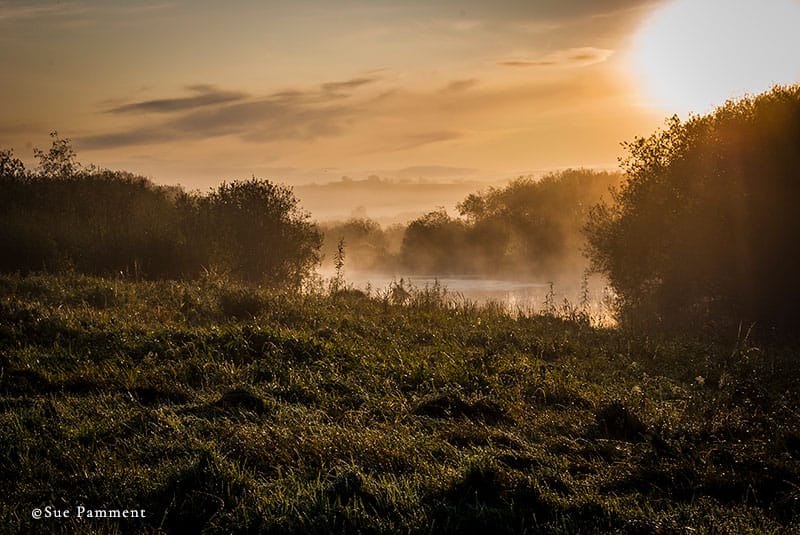 misty morning at the Fen