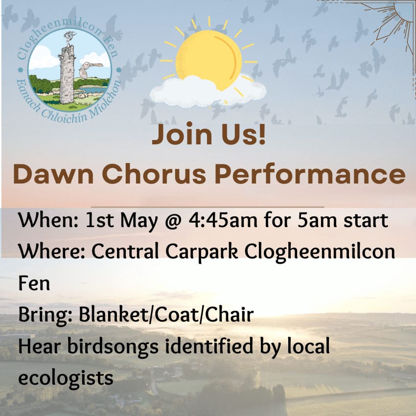 Dawn Chorus 2023