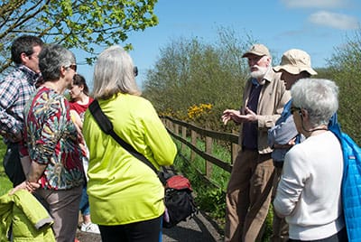 Foraging at the Fen with Tom O'Byrne